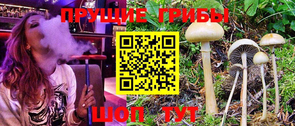 Галлюциногенные грибы GOLDEN TEACHER Вятские Поляны